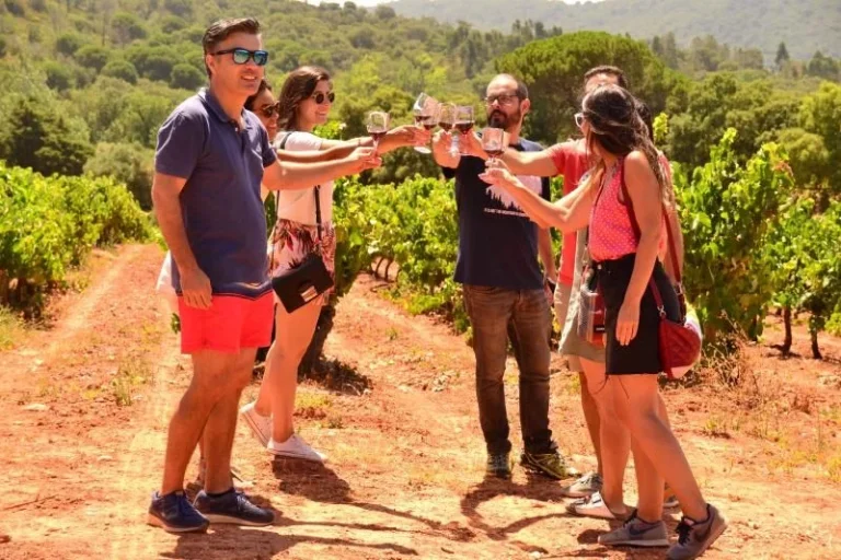 Small group raising glasses of red wine in a vineyard in the Arrábida hills