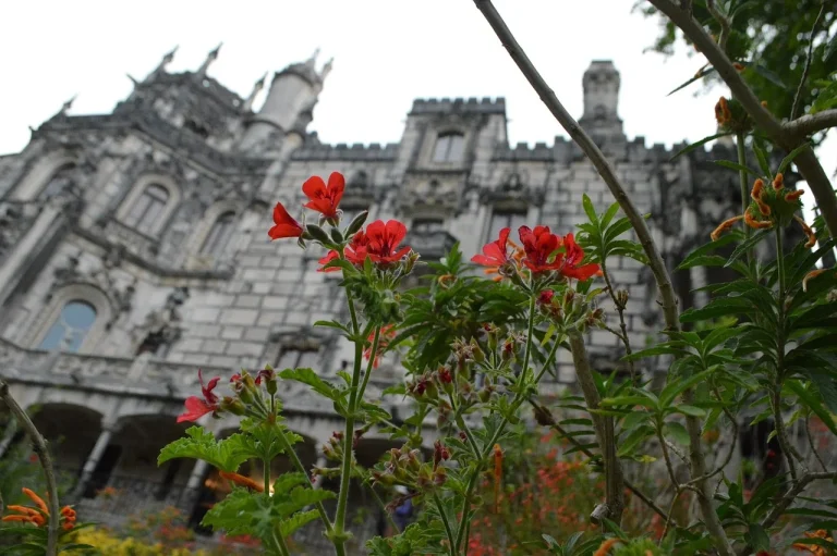 Ornate stone facade of a Sintra palace framed by red flowers