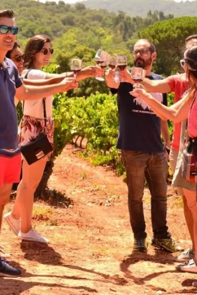 Small group raising glasses of red wine in a vineyard in the Arrábida hills