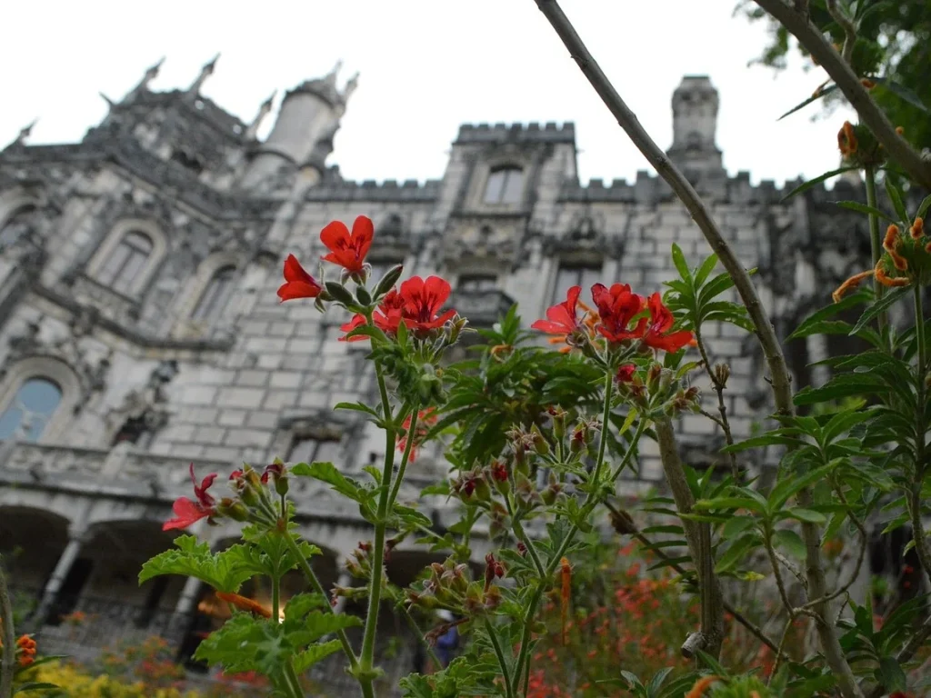 Ornate stone facade of a Sintra palace framed by red flowers